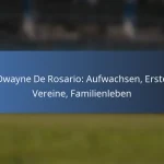 Dwayne De Rosario: Beiträge zur Nationalmannschaft, Schlüssel-Tore, Vermächtnis